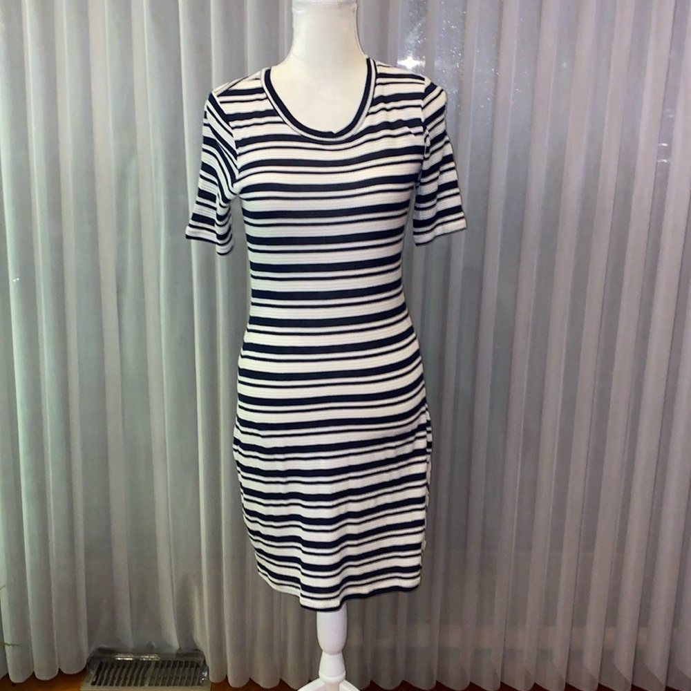 NWT Splendid Dress